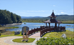 绿头鸭、黑翅长脚鹬等珍惜水鸟在尾矿库荷花池