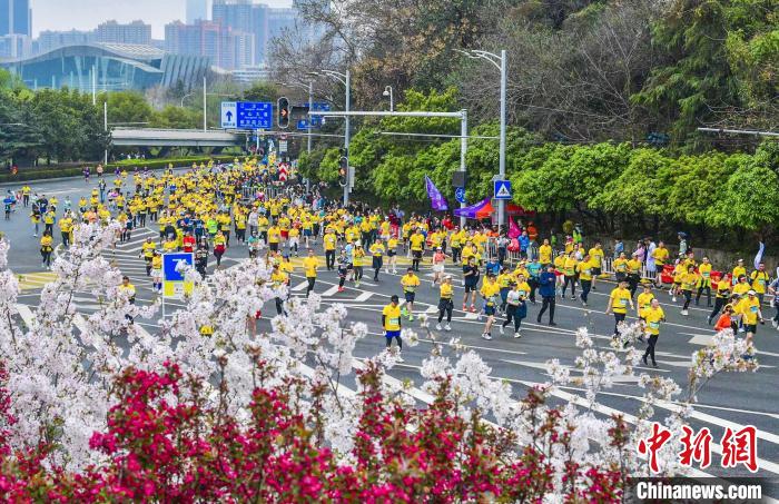 2025武汉马拉松正式扩容至4万人规模：三组别分配